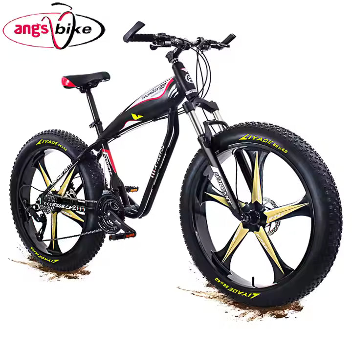 Vélo