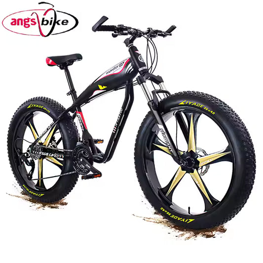 Vélo